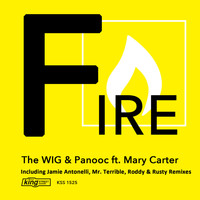 The WIG & Panooc - Fire (feat. Mary Carter)