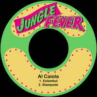 Al Caiola - Estambul