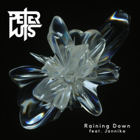 Peter Luts - Raining Down