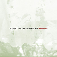 Agaric - Into the Large Air, Pt. 1 (Remixes)