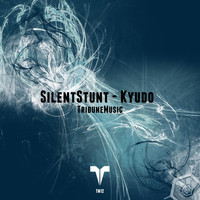 Silent Stunt - Kyudo