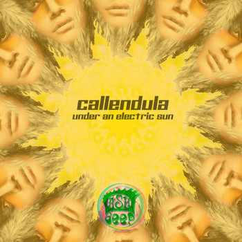 Callendula - Under an Electric Sun