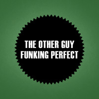 The Other Guy - Funking Perfect
