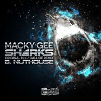 Macky Gee - Sharks