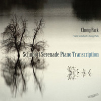 Chong Park - Chong Park: Schubert Serenade Piano Transcription