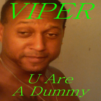 Viper - U Are a Dummy