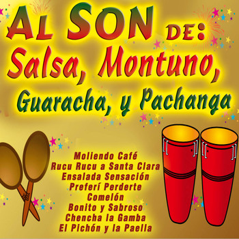 Various Artists - Al Son De: Salsa, Son, Bolero, Guaracha, Y Pachanga