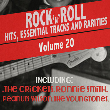 Various Artists - Rock 'N' Roll Hits, Essential Tracks and Rarities, Vol. 20