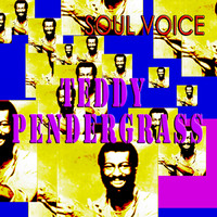Teddy Pendergrass - Soul Voice