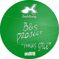 B&S Project - Thanks Spice