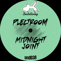 Plectroom - Midnight Joint