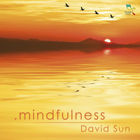 David Sun - Mindfulness