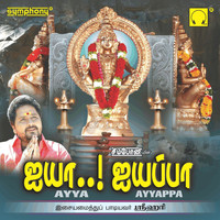 Srihari - Ayya Ayyappa