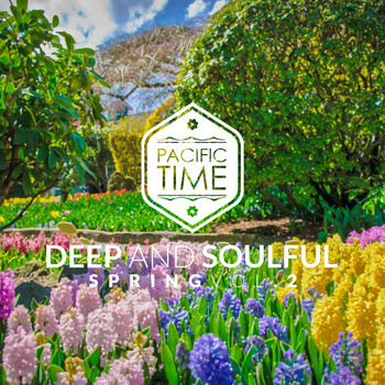 Various Artists - Deep and Soulful Spring Vol.2