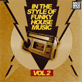 Various Artists - In the Style of Funky House Music - Vol. 2