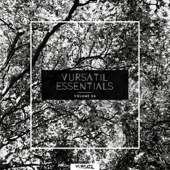 Various Artists - Vursatil Essentials 06