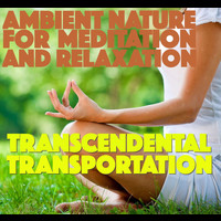 Ultimate Om - Transcendental Transportation: Ambient Nature for Relaxation and Meditation