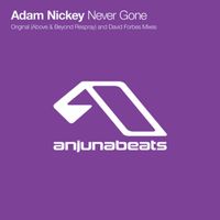 Adam Nickey - Never Gone