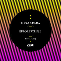 Fog & Arara - Efforescence