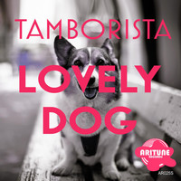 Tamborista - Lovely Dog