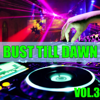 Various Artists - Bust Till Dawn, Vol.3