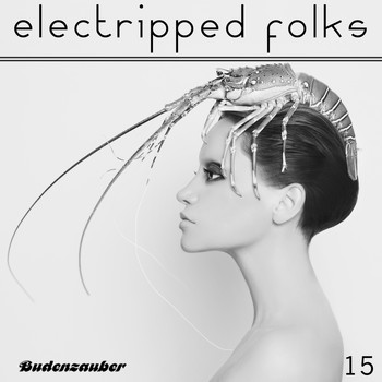 Various Artists - Electripped Folks, 15
