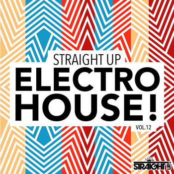 Various Artists - Straight Up Electro House! Vol. 12
