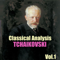 Paradise Orchestra - Classical Analysis: Tchaikovski, Vol.1