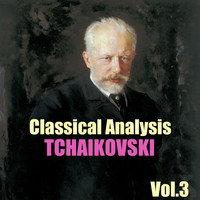 Paradise Orchestra - Classical Analysis: Tchaikovski, Vol.3