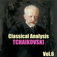 Paradise Orchestra - Classical Analysis: Tchaikovski, Vol.6