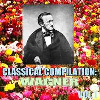 Paradise Orchestra - Classical Compilation: Wagner, Vol.1