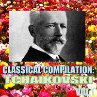 Paradise Orchestra - Classical Compilation: Tchaikovski, Vol.1