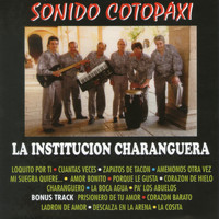 Sonido Cotopaxi - La Institución Charanguera
