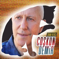 Coşkun Demir - Sokak Kedisi