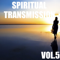 Tai Chi - Spiritual Transmission, Vol.5