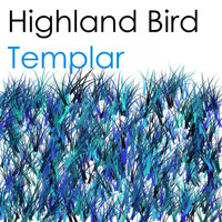 Highland Bird - Templar