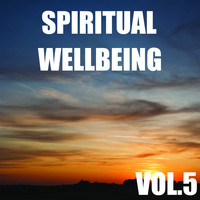 Nightwalkers - Spiritual Wellbeing, Vol.5