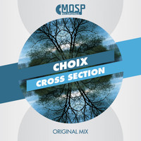 Choix - Cross Section