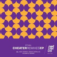 Stival - Cheater Remixes EP