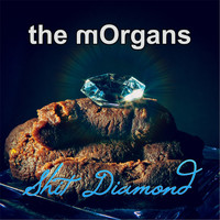 The Morgans - Shit Diamond
