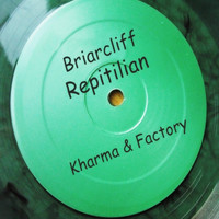 Briarcliff - Repitilian