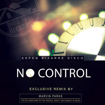 Aspen Bizarre Disco - No Control