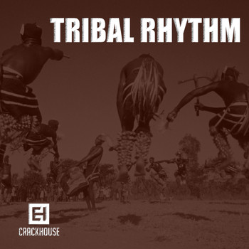 Various Artists - Tribal Rhythm
