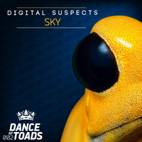Digital Suspects - Sky