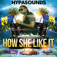 Hypasounds - How She Like It