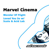 Marvel Cinema - Wonder Of Flight / Loved You So