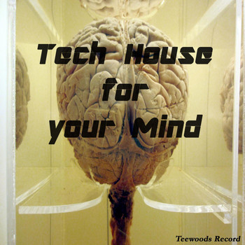 Various Artists - Tech House for Your Mind