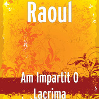 Raoul - Am Impartit O Lacrima
