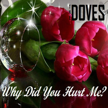 The Doves - Why Did You Hurt Me?