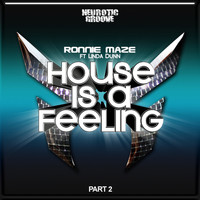 Ronnie Maze - House Is a Feeling, Pt. 2